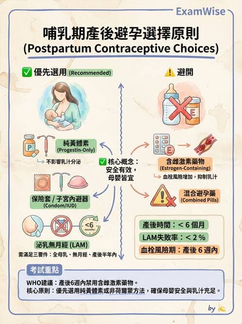 護理師 - 產後心理併發症與家庭計畫 - AI 圖文解析預覽
