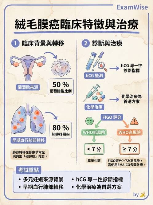 護理師 - 婦科腫瘤與感染 - AI 圖文解析預覽