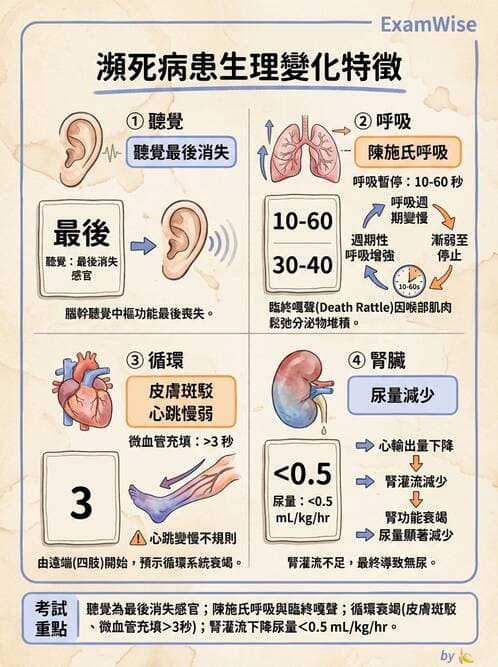 護理師 - 兒童心理與特殊照護 - AI 圖文解析預覽