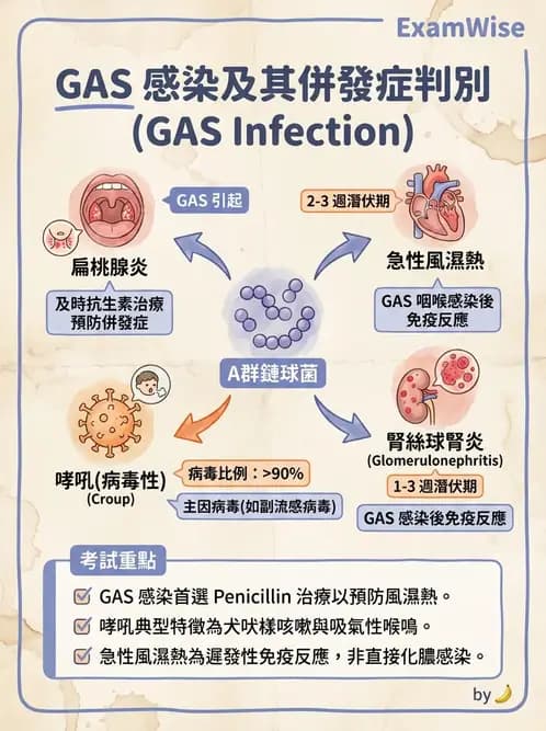 護理師 - 兒童傳染性疾病 - AI 圖文解析預覽