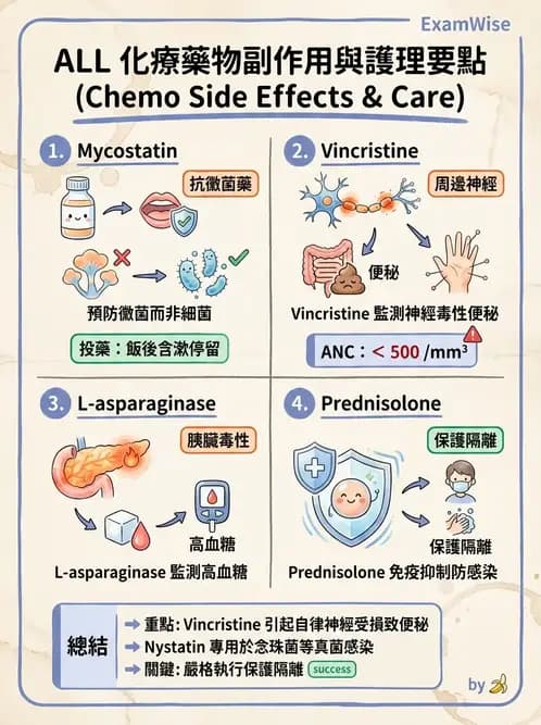 護理師 - 兒童血液與腫瘤疾病 - AI 圖文解析預覽