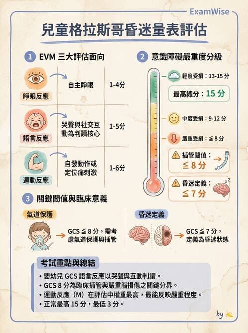 護理師 - 兒童基本護理評估技術 - AI 圖文解析預覽