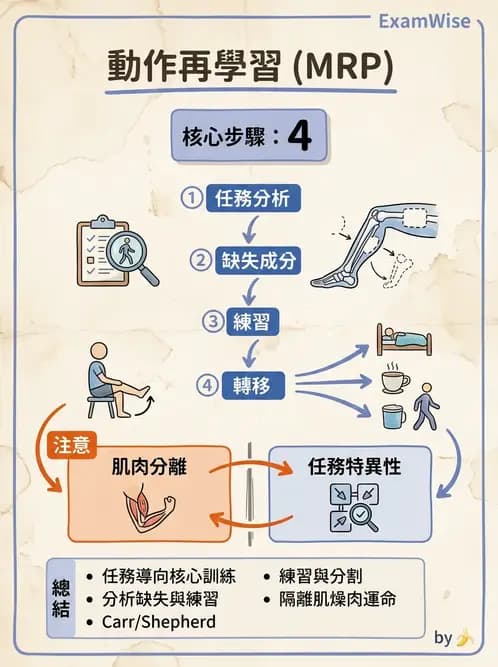 物治 - 神經治療學派技術 - AI 圖文解析預覽