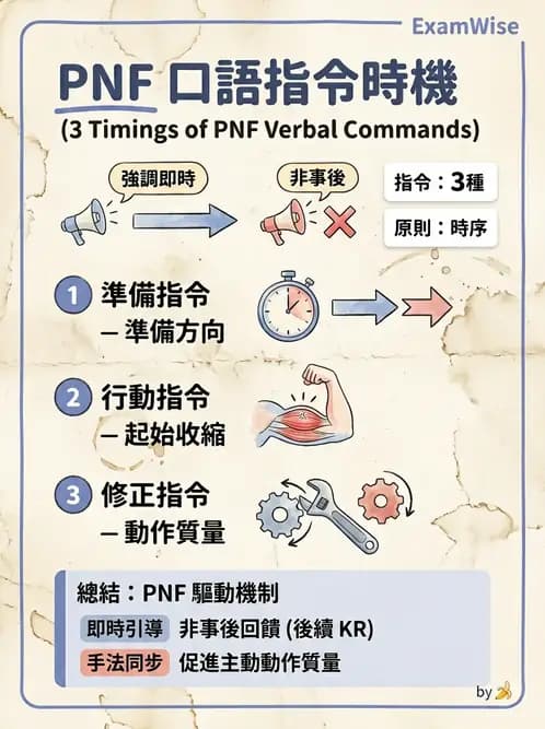 物治 - 神經治療學派技術 - AI 圖文解析預覽
