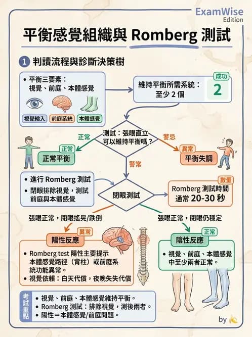 物治 - 神經物理治療評估工具 - AI 圖文解析預覽