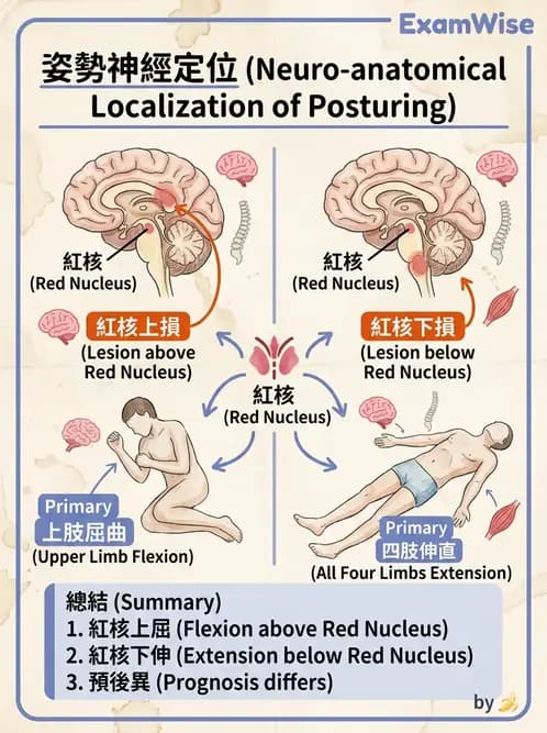 物治 - TBI病理評估與GCS - AI 圖文解析預覽