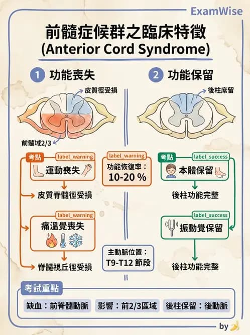 物治 - SCI評估分類與症候群 - AI 圖文解析預覽