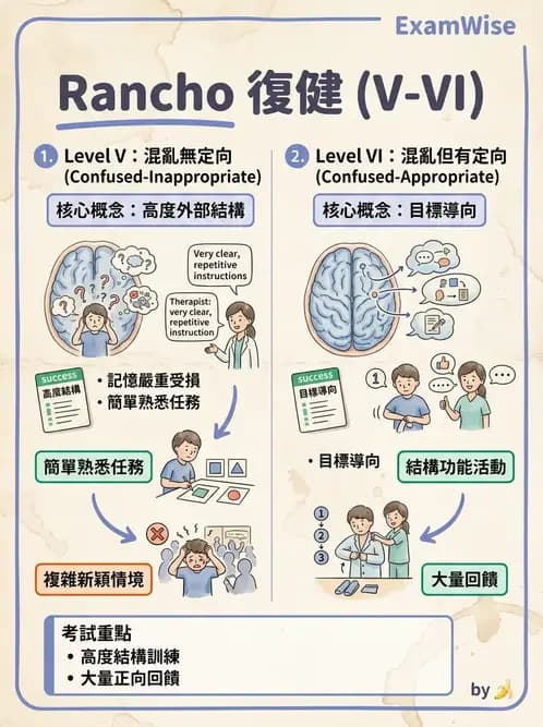 物治 - TBI LOCF分級與復健 - AI 圖文解析預覽