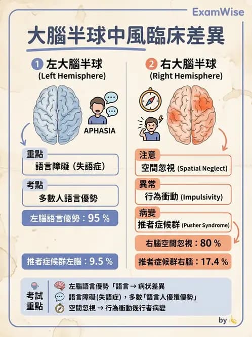 物治 - 腦中風感覺知覺與認知 - AI 圖文解析預覽