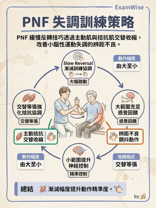 物治 - 多發性硬化症物理治療 - AI 圖文解析預覽