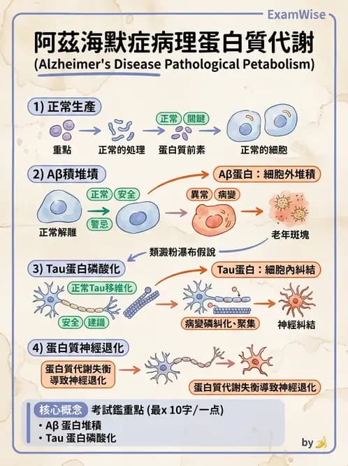 物治 - 失智症與認知退化 - AI 圖文解析預覽