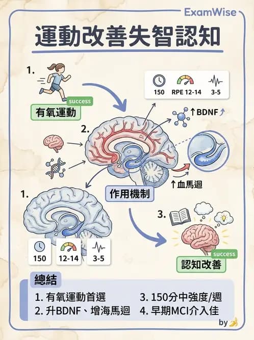 物治 - 失智症與認知退化 - AI 圖文解析預覽