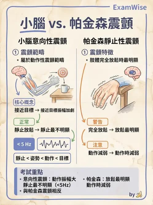 物治 - 小腦疾病物理治療 - AI 圖文解析預覽