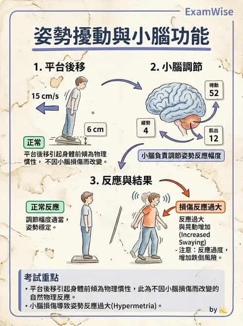 物治 - 小腦疾病物理治療 - AI 圖文解析預覽