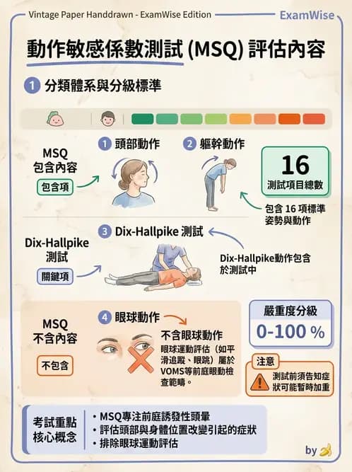物治 - 前庭系統與前庭復健 - AI 圖文解析預覽