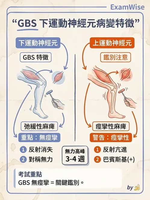 物治 - 神經肌肉疾病 - AI 圖文解析預覽