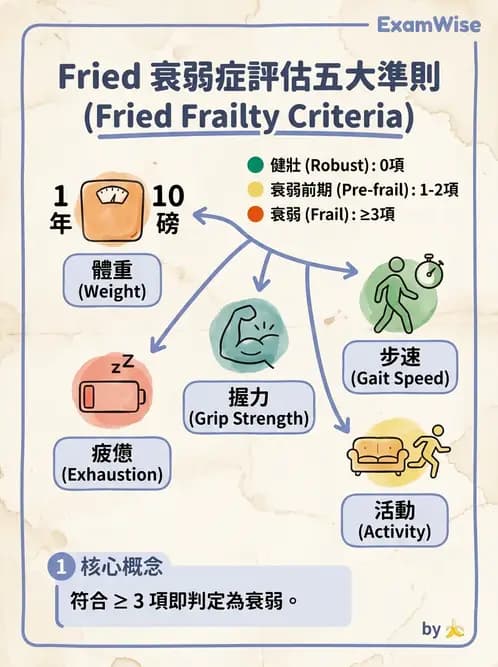 物治 - 衰弱肌少症與長期照護 - AI 圖文解析預覽