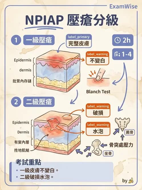 物治 - 衰弱肌少症與長期照護 - AI 圖文解析預覽