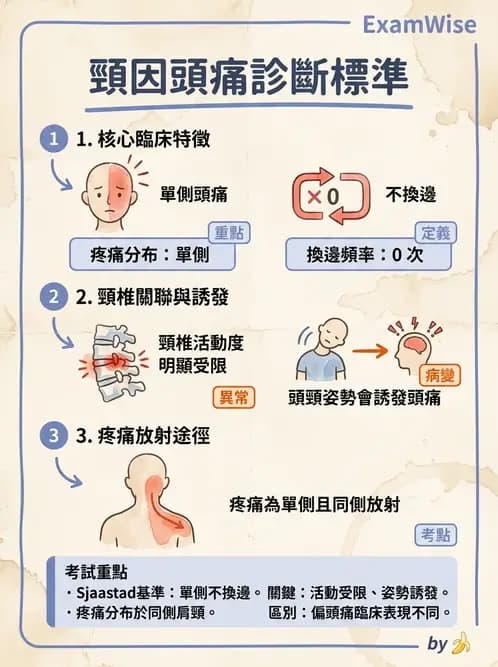 物治 - 頸椎評估與病理 - AI 圖文解析預覽