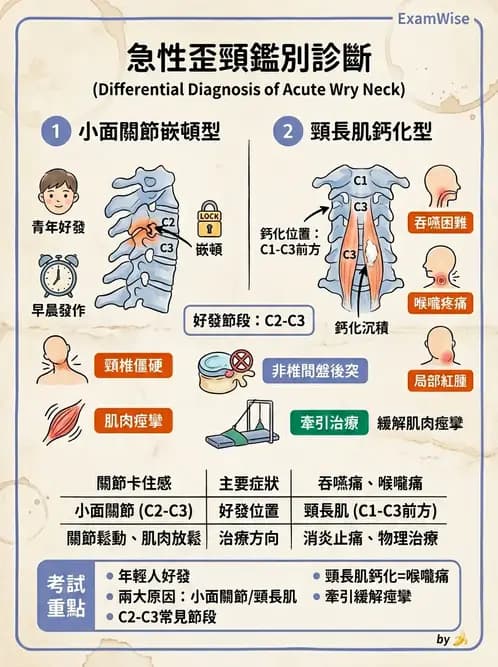 物治 - 頸椎評估與病理 - AI 圖文解析預覽