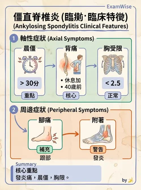 物治 - 腰椎椎間盤與脊椎狹窄 - AI 圖文解析預覽