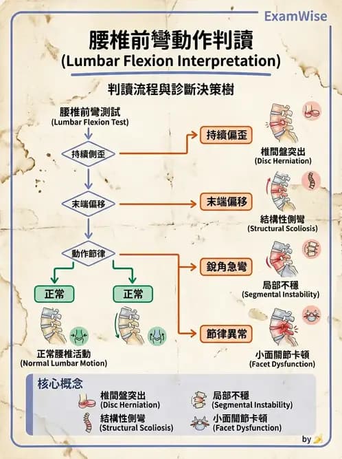 物治 - 腰椎穩定訓練與治療原則 - AI 圖文解析預覽