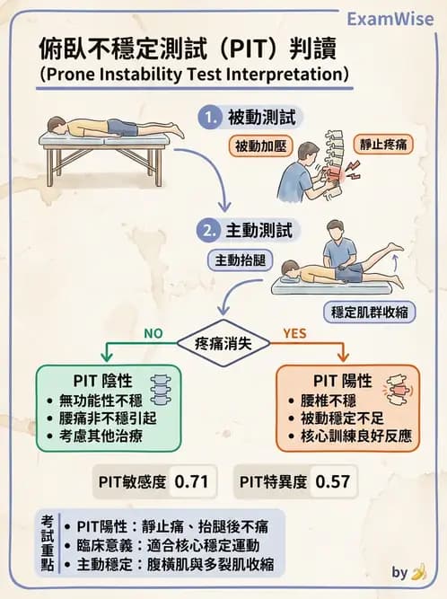 物治 - 腰椎穩定訓練與治療原則 - AI 圖文解析預覽