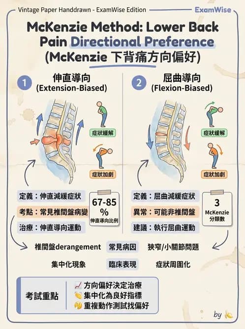 物治 - 腰椎穩定訓練與治療原則 - AI 圖文解析預覽