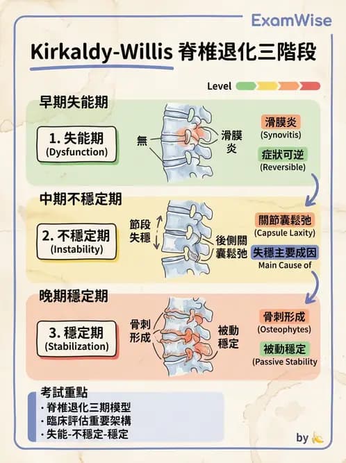 物治 - 腰椎椎間盤與脊椎狹窄 - AI 圖文解析預覽
