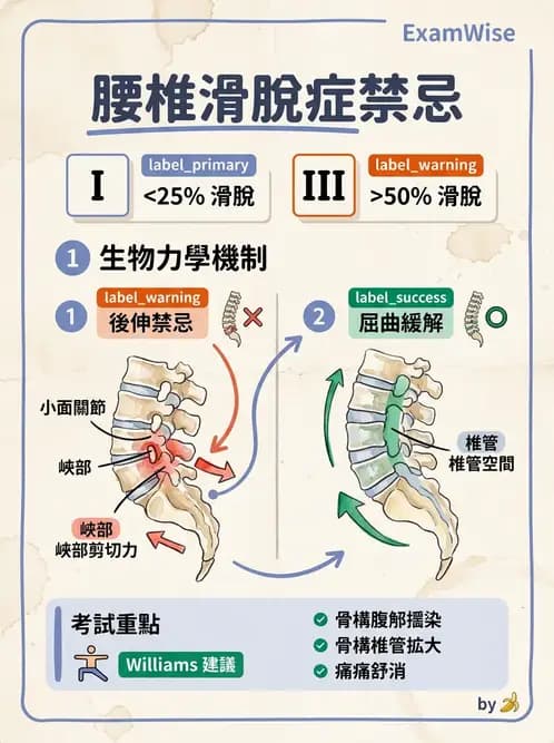 物治 - 腰椎穩定訓練與治療原則 - AI 圖文解析預覽