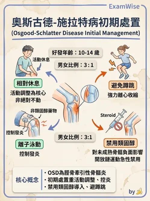 物治 - 髕股關節疼痛與伸展機制 - AI 圖文解析預覽