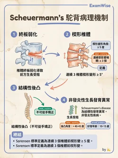 物治 - 姿勢 - AI 圖文解析預覽