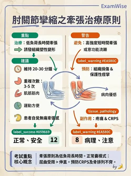 物治 - 肘及前臂關節 - AI 圖文解析預覽