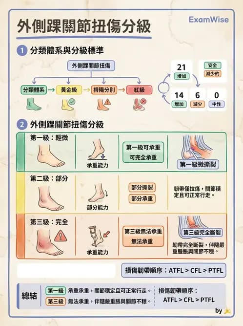物治 - 踝關節損傷與復健 - AI 圖文解析預覽