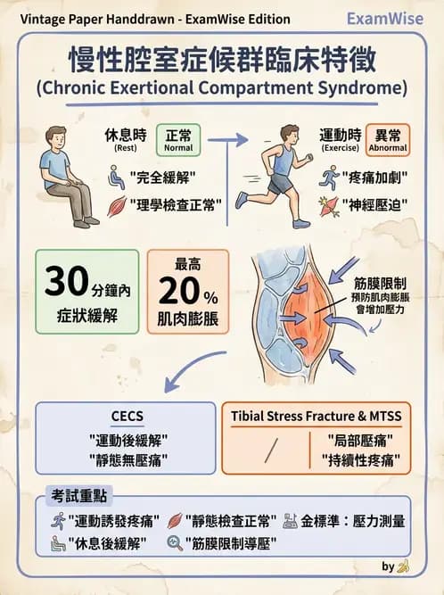物治 - 踝關節損傷與復健 - AI 圖文解析預覽