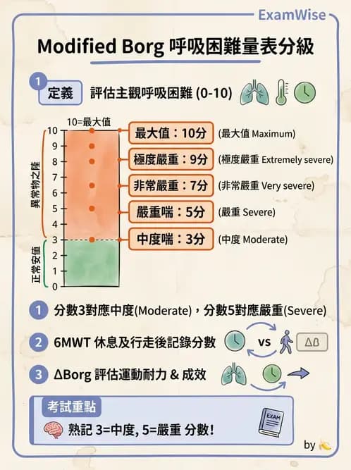 物治 - 體適能評估與運動測試 - AI 圖文解析預覽