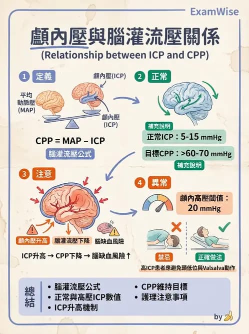 物治 - 重症加護物理治療 - AI 圖文解析預覽