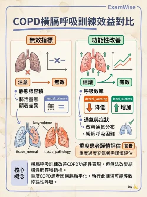 物治 - 阻塞性肺疾病物理治療 - AI 圖文解析預覽