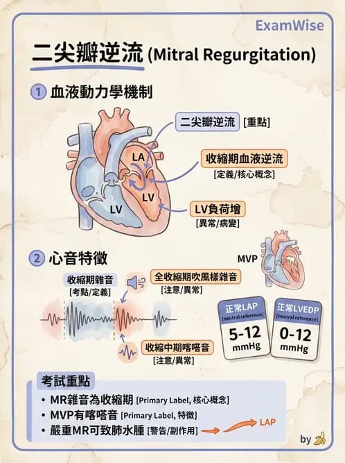 物治 - 心臟診斷工具與運動測試 - AI 圖文解析預覽