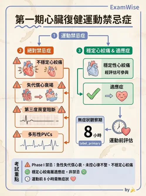 物治 - 心臟復健與運動處方 - AI 圖文解析預覽