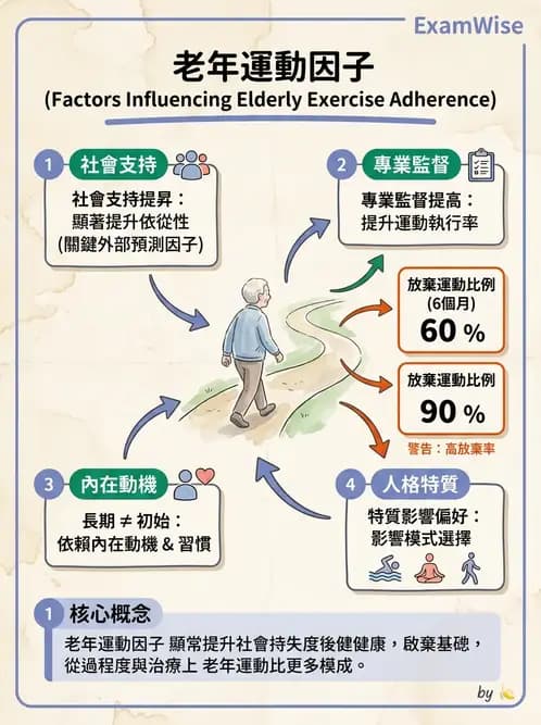 物治 - 運動篩檢與處方設計 - AI 圖文解析預覽