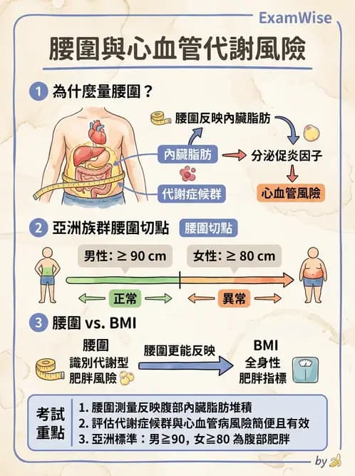 物治 - 體適能評估與運動測試 - AI 圖文解析預覽