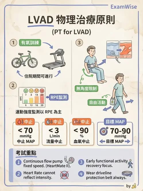 物治 - 心臟藥物、輔助裝置與周邊血管 - AI 圖文解析預覽