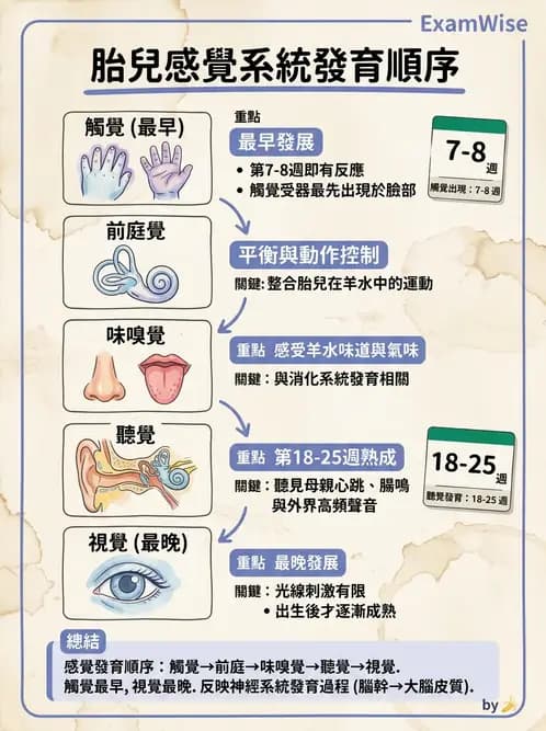 物治 - 新生兒與嬰兒發展評估 - AI 圖文解析預覽