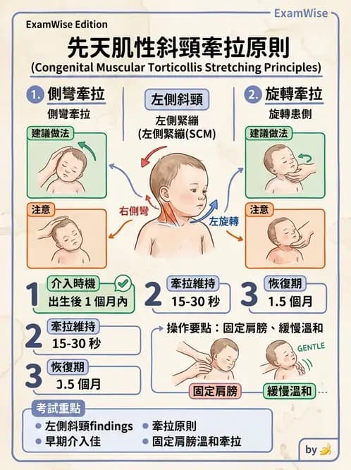 物治 - 小兒肌肉骨骼疾患物理治療 - AI 圖文解析預覽
