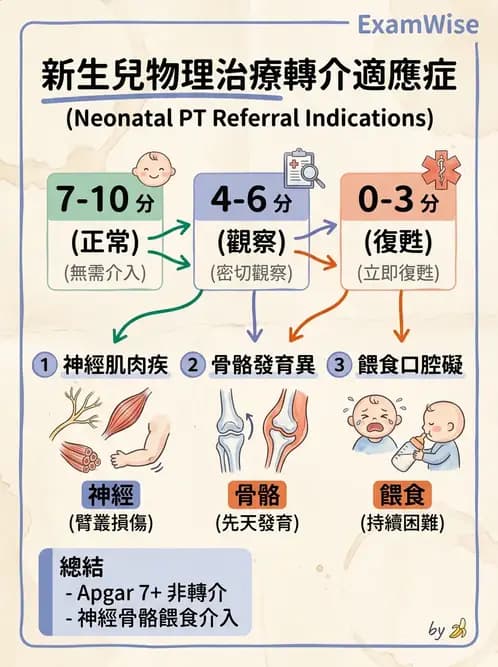 物治 - 新生兒與嬰兒發展評估 - AI 圖文解析預覽
