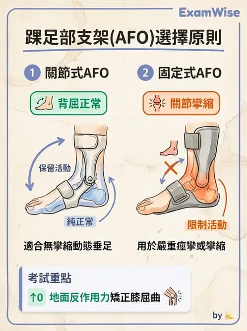 物治 - 腦性麻痺介入、手術與輔具 - AI 圖文解析預覽