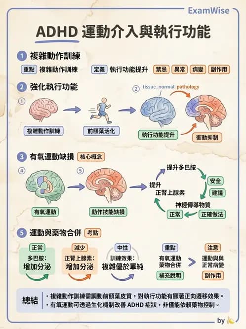 物治 - DCD、ADHD與行為介入 - AI 圖文解析預覽