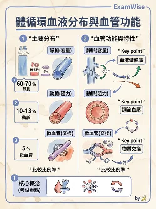 物治 - 心臟血管生理 - AI 圖文解析預覽