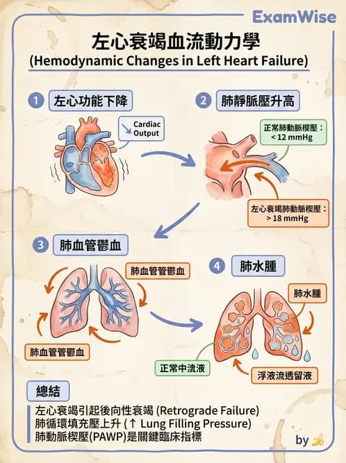 物治 - 心臟血管生理 - AI 圖文解析預覽